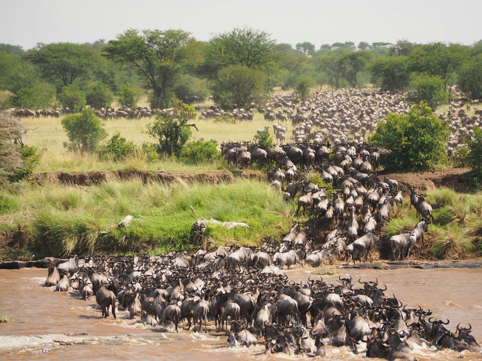 Maasai Mara National Reserve